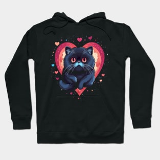 Exotic Shorthair Valentine Day Hoodie